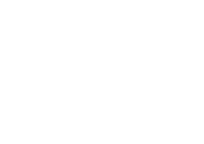logo bruggen - wit
